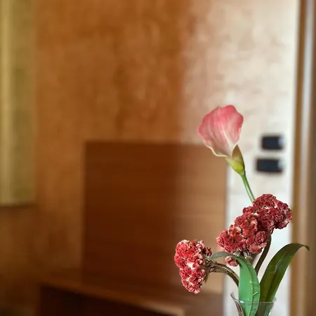 Hotel Il Giardino Degli Aranci 3*